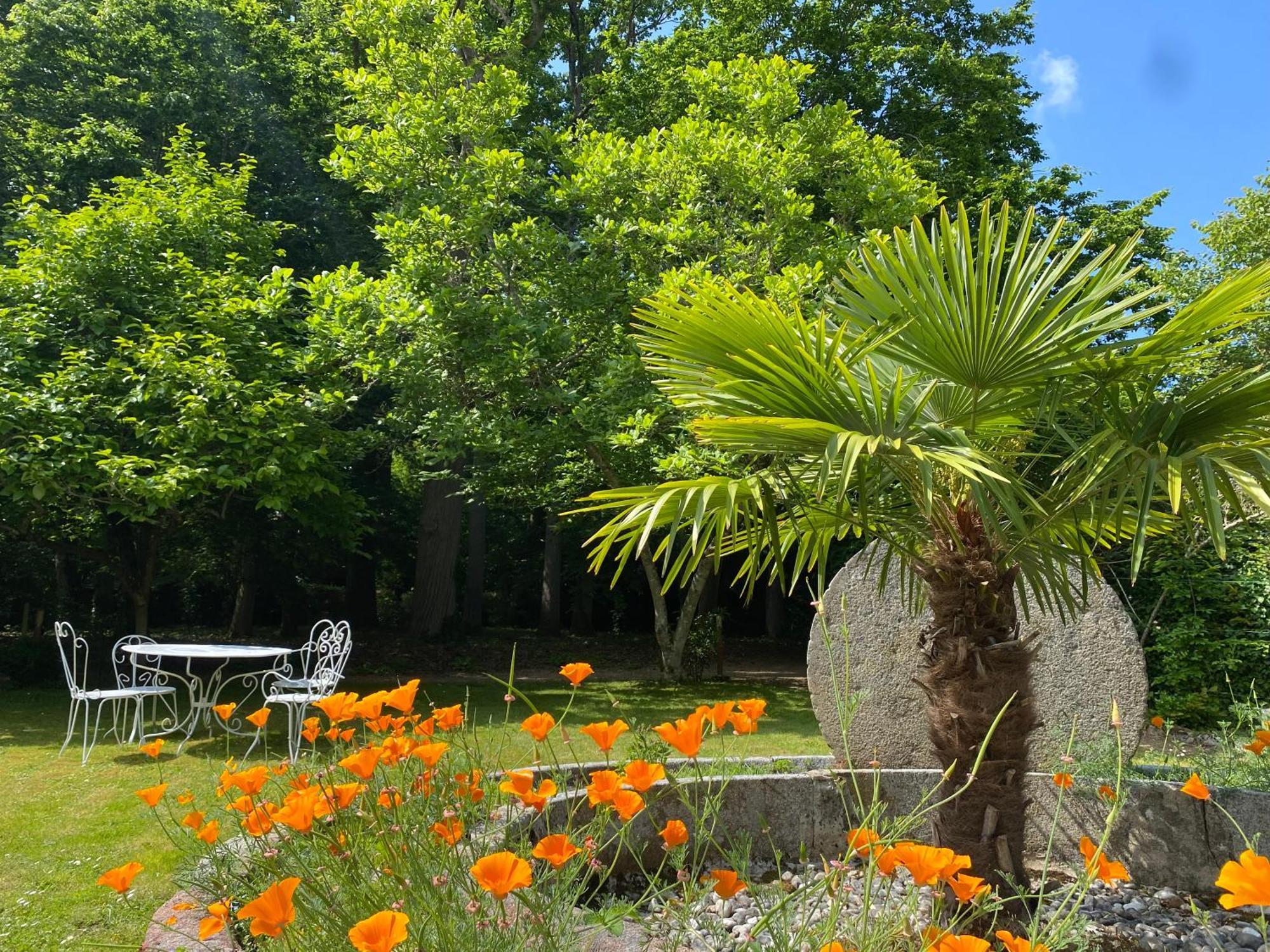 Manoir Du Parc (Adults Only) Hotel Amboise Exterior foto
