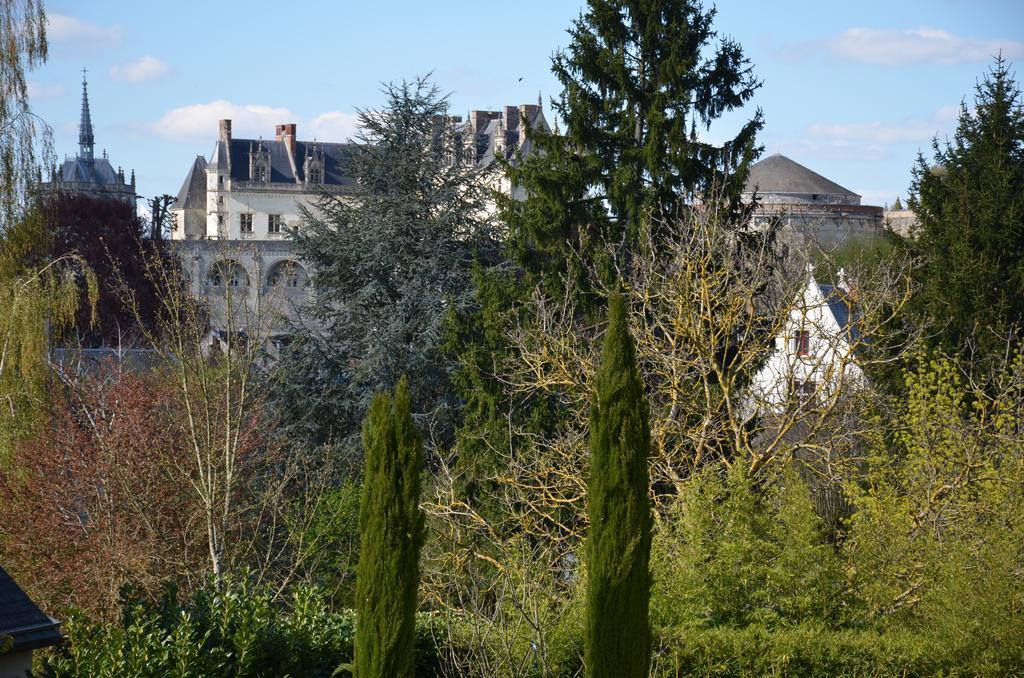 Manoir Du Parc (Adults Only) Hotel Amboise Exterior foto