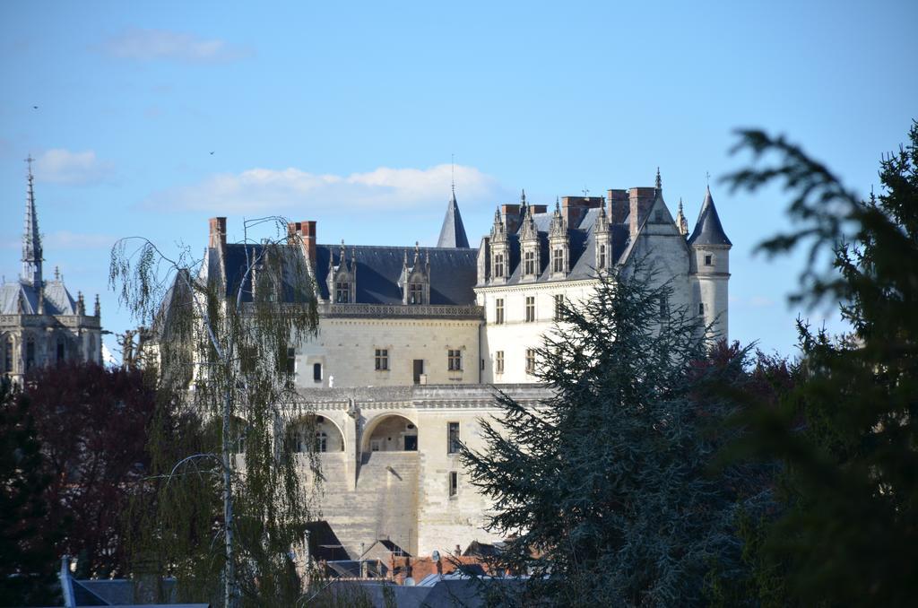 Manoir Du Parc (Adults Only) Hotel Amboise Exterior foto