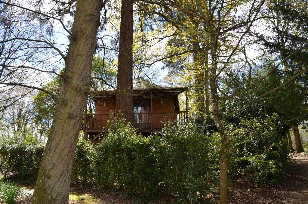 Manoir Du Parc (Adults Only) Hotel Amboise Exterior foto