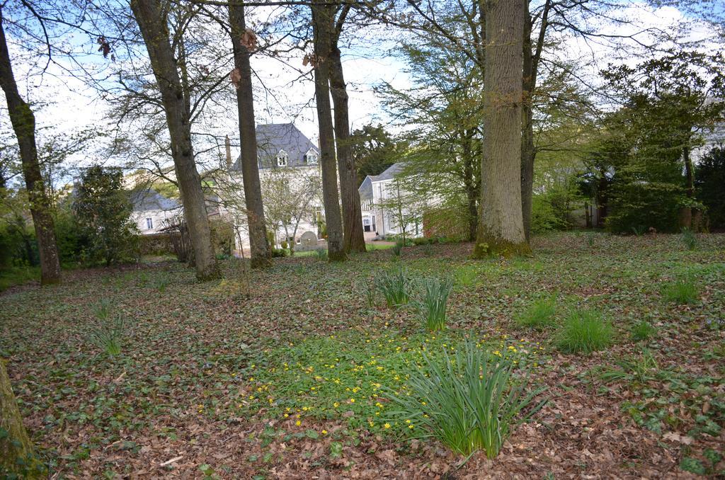 Manoir Du Parc (Adults Only) Hotel Amboise Exterior foto