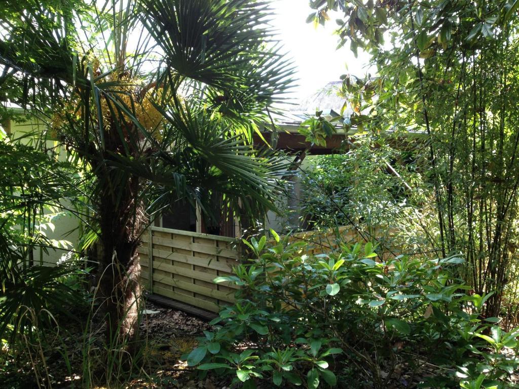 Manoir Du Parc (Adults Only) Hotel Amboise Cameră foto